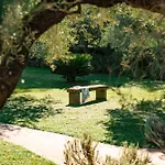 Olmi * Marina di Campo