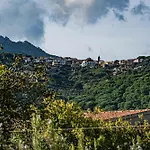 Olmi Marina di Campo