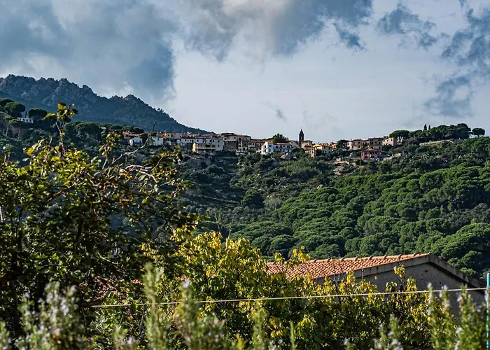 Olmi Marina di Campo